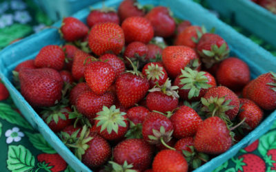 Are Organic Strawberries In the Grocery Store Really Organic? Watch Video…