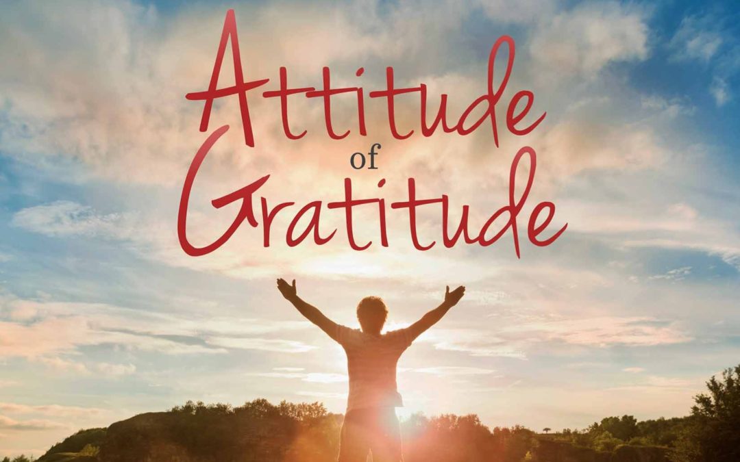 November is Gratitude & Thankfulness Month… See Our Best Posts About Harnessing Gratitude…