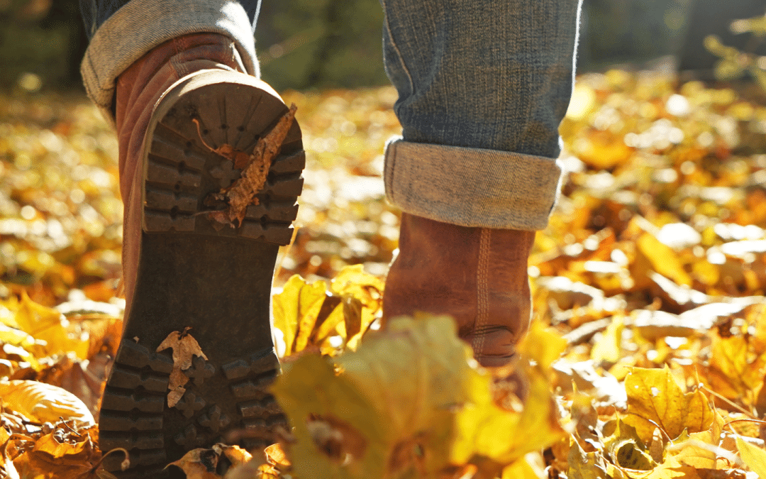 Fall Wellness Trend – Rooted in Ancient Chinese Medicine